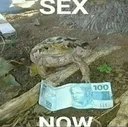 sex_now sex_now