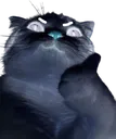 BlackCatThumb