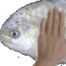 PatPat