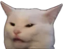 Confused Cat confusedCat Discord Emoji