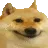 Woofer_Happy Woofer_Happy