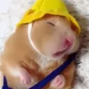 sleep