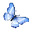 butterfly_blue Discord emoji