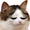 catpensive