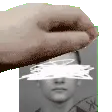 patptsd