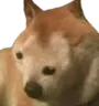 boopis