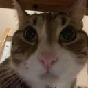 a_stare