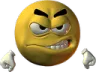 angr angr