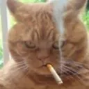 cat_smoke Discord Emoji