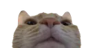 yousmell