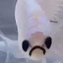 emoji_2