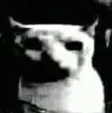 cursed2