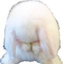 B_bunnysad Discord emoji
