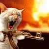 pewpewcatto pewpewcatto