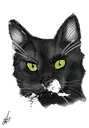 BATMANangry