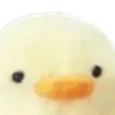 StareDucc Discord Emoji