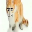 miau miau