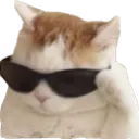 Coolcat coolcat Discord Emoji