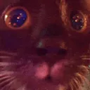 ctastare