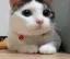 emoji_85 emoji_85