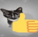 thumbsupcat thumbsupcat