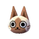 cr_excitedcat