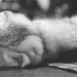 kitty_Sad