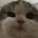 smugcat