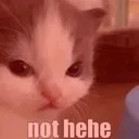 Nothehe nothehe Discord Emoji