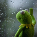 sad_kermit Discord emoji