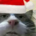 christmasbruh christmasbruh