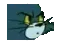 ceaizisma