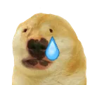 kentadugcry