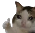 sadThumbsUp