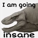 IAMGOINGINSANE IAMGOINGINSANE