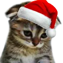 CH_sadcatchristmas Discord Emoji