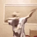 ezgif