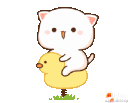 piduckcute_elpa