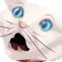 6067dgfcatahhh