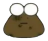 cfloo