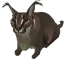 gatoFloppaBath