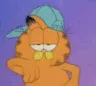 garfieldboogie