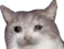 sad
