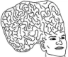 bigbrain