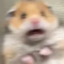fear fear