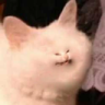 lilwheeze