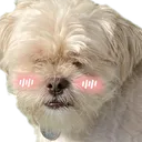 ajengoblush ajengoblush