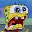 spongetragedy spongetragedy