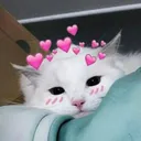 awww