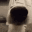BallSniffer Discord emoji